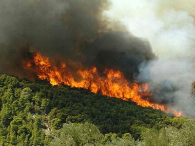 «Θερμό» καλοκαίρι στη Ζάκυνθο