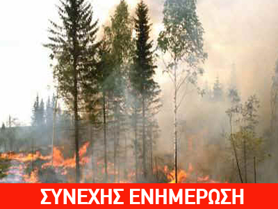 Μαίνεται φωτιά στην Χαραυγή Ιωαννίνων