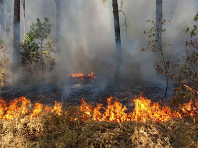Κανένα ανοικτό μέτωπο στην Κρήτη