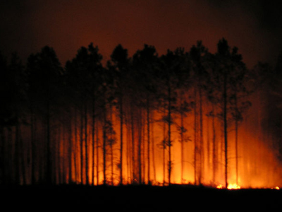 Μαίνεται η φωτιά στο Ζέλι Φθιώτιδας
