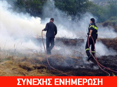 Σε εξέλιξη πυρκαγιά στο Λαρίσι Κορινθίας