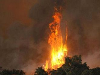 Φωτιά στο Ηράκλειο Κρήτης