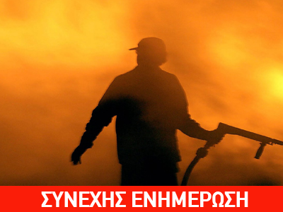 Υπό έλεγχο οι φωτιές στους Βιταλάδες και το Παλαιοχώρι Κέρκυρας