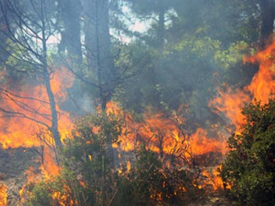 Φωτιά στο Μαντούδι Ευβοίας