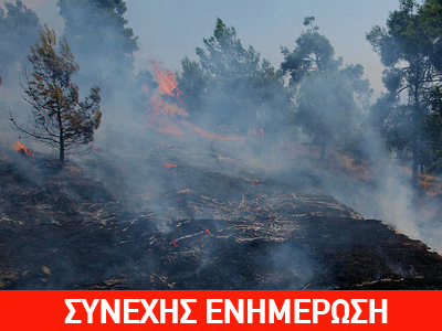 Μαίνεται πυρκαγιά στη Βοιωτία