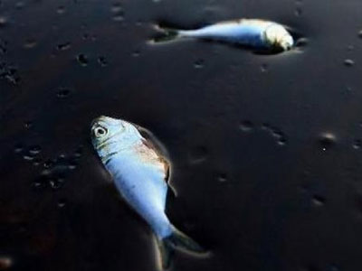 Βαρύ πρόστιμο για τη θαλάσσια ρύπανση