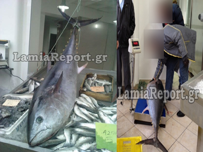 Αυτό θα πει ψαριά!