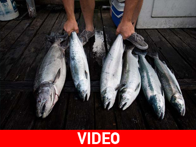 Η.Π.Α.: Βρήκε το δάκτυλό του στην κοιλιά του ψαριού