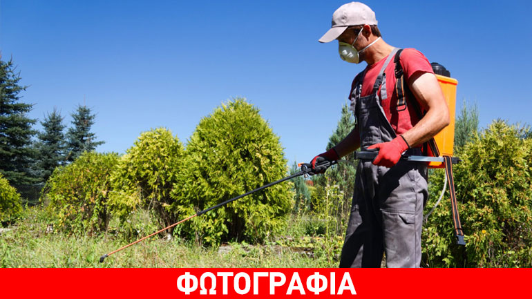 Δράμα: Καταστράφηκαν 529 κιλά παράνομων και ακατάλληλων φυτοφαρμάκων
