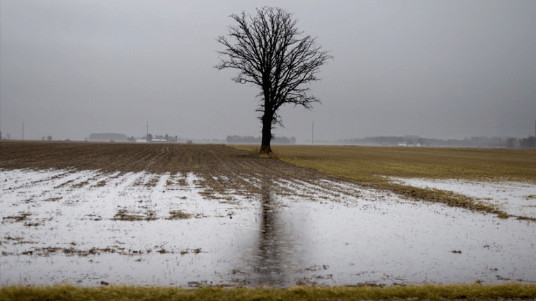 Το Πάσχα οι αποζημιώσεις κτηνοτρόφων σε Άρτα και Έβρο για τις πλημμύρες