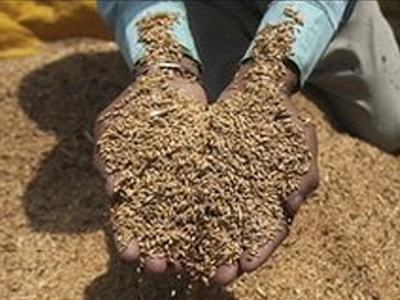 Δυσοίωνο το μέλλον στις τιμές των τροφίμων