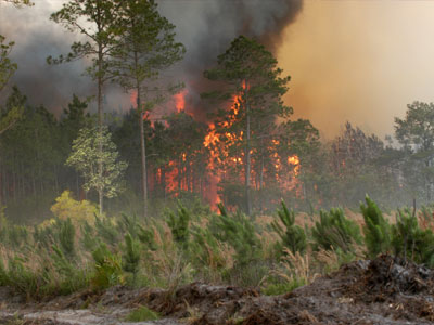 Υψηλός ο κίνδυνος πυρκαγιών σήμερα στη Δυτική Ελλάδα