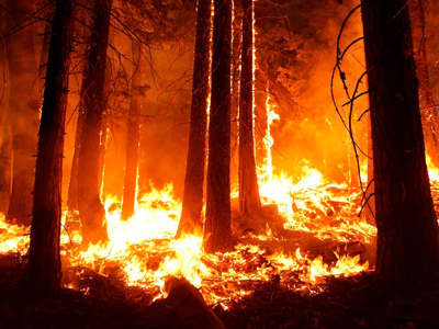 Υπό μερικό έλεγχο η πυρκαγιά στην περιοχή Κουτσουράς Λασιθίου