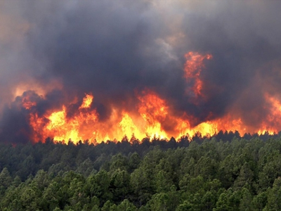 Πολύ υψηλός κίνδυνος πυρκαγιάς σε Αττική και Νότια Εύβοια