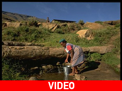 Ζάμπια: Η παράνομη υλοτομία απειλεί τα τροπικά δάση