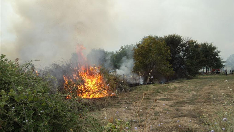 Στάχτη 20 στρέμματα απο φωτιά στα Χανιά