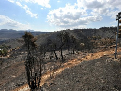 Υπό έλεγχο η φωτιά στη Νεάπολη Λασιθίου