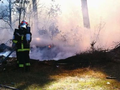 Μαίνεται η πυρκαγιά στις Φιλιάτες Θεσπρωτίας