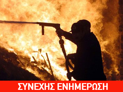 Μεγάλη φωτιά στο Νότιο Πήλιο