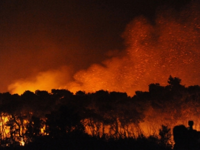 Υπό έλεγχο οι φωτιές σε Χίο, Πήλιο και Άραξο