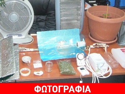 Είχε κάνει… επιστήμη την καλλιέργεια κάνναβης!