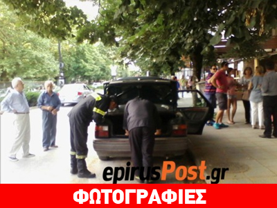 Ιωάννινα: Φίδι κρύφτηκε στο εσωτερικό αυτοκινήτου!