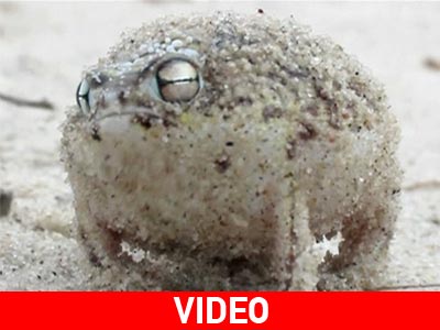 Μια διαφορετική αυτοάμυνα για την επιβίωση!