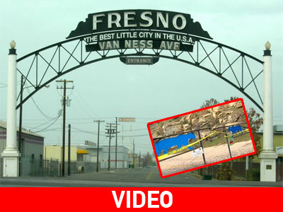 Καλιφόρνια: Λιοντάρι σκότωσε υπάλληλο Ζωολογικού Πάρκου