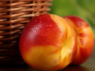 Το ρωσικό εμπάργκο «γονατίζει» τη Σλοβενία