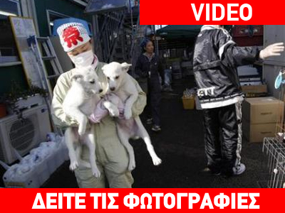 Φουκουσίμα: Η ζωή βρίσκει πάντα τον τρόπο…