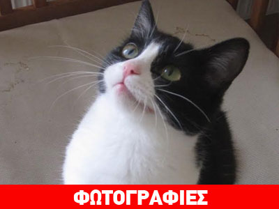 Χαρίστε μια ζεστή αγκαλιά στην Ιόλη