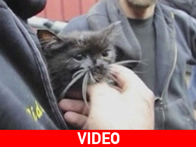 Βγήκε ζωντανό μετά από 48ωρη «ομηρία»