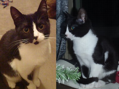 Βοηθήστε να βρεθεί!