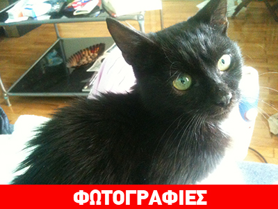 Η Σιμόν ψάχνει σπίτι