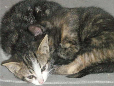 Έτοιμα για αγκαλιές!