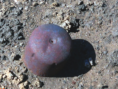 Εξερράγη εμπρηστικός μηχανισμός στα Τρίκαλα