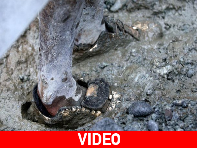 Ο έλεγχος του χρυσού όπλισε το χέρι τους