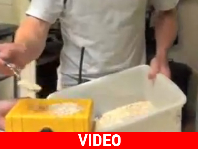 Όλα για το φαί!