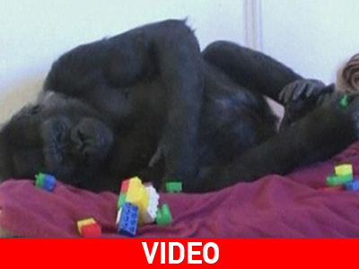 Το πρωί στον ζωολογικό κήπο και το βράδυ στο…σπίτι