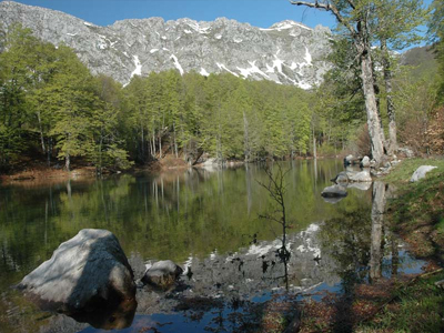 Ήπειρος: Στο επίκεντρο η προστασία του Γράμμου