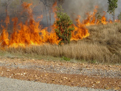 «Λαμπάδιασε» το οικόπεδο