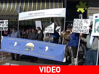 Αντιδράσεις για το «Stop» στα προϊόντα φώκιας