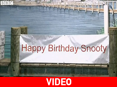 Γενέθλια για θαλάσσιο ελέφαντα στη Φλόριντα