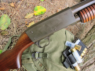 Κομοτηνή: Δικογραφία σε βάρος 61χρονου που πυροβόλησε και σκότωσε σκύλο