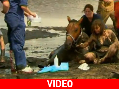 Το «έσωσαν» από τη λάσπη