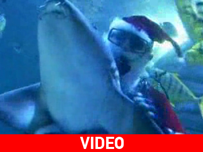 Γερμανία: Ένας Άγιος Βασίλης μέσα σε ενυδρείο με καρχαρίες