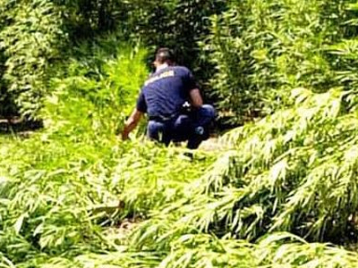 Ιερόσυλοι πέταξαν ιερή εικόνα σε χωράφι!