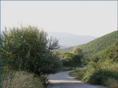 Διακοπή δρομολογίων λόγω… πυκνής βλάστησης