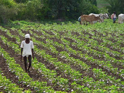 Ινδία: Κανονικά οι εξαγωγές βάμβακος