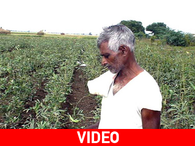 Ζητούν δικαιοσύνη οι αγρότες στην Ινδία